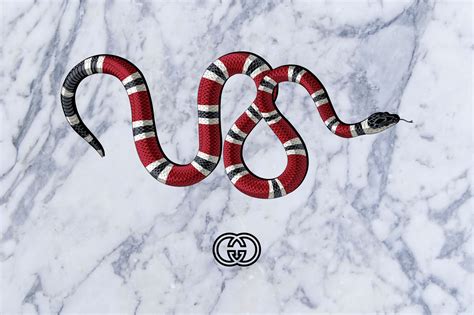 what does the gucci snake mean|gucci snake name.